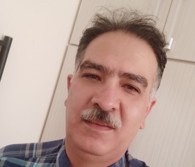 Shapoor, 48 лет, تبریز