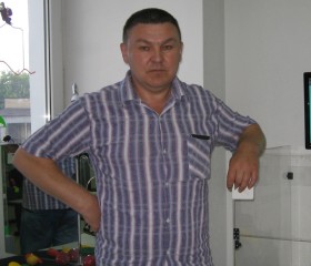 Сергей, 53 года, Шумиха