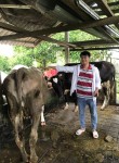 huongtinh, 35 лет, Tây Ninh