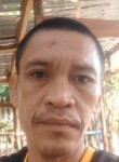 RYAN RENN, 39 лет, Lungsod ng Heneral Santos