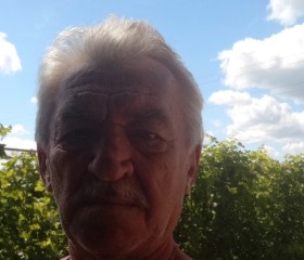 Vladimir, 70, Aleksin