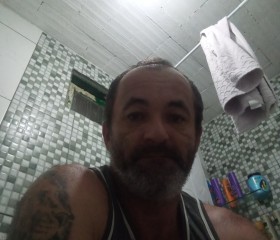 Ademir, 46 лет, Campinas (Santa Catarina)