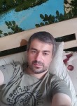 Artur, 40, Losino-Petrovskiy