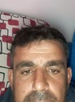 Erdal, 48 лет, Ereğli (Zonguldak)