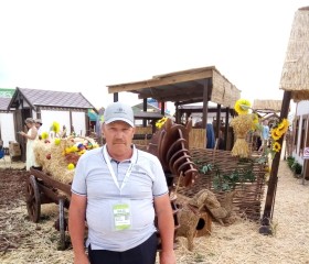 Николай Колосов, 64 года, Горад Гомель