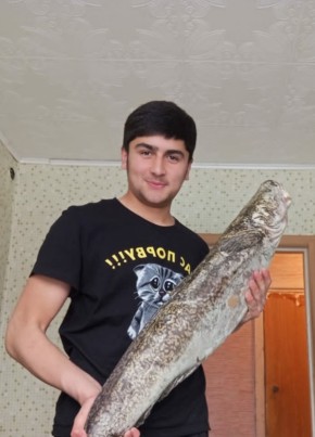 Shahrom, 26, Тоҷикистон, Душанбе