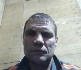 Николай, 45 лет, Свободный