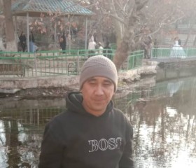 Ali, 31, Sofrino
