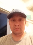 Нурлан, 41 год, Бишкек