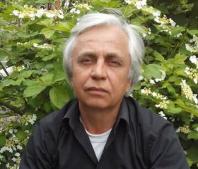 Vlad, 65, Saint Petersburg