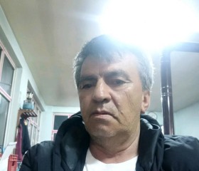 harun, 51 год, Kırkağaç
