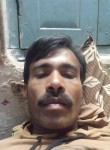 Vinodkumarguar G, 37 лет, Kanpur