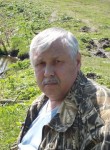 Александр, 64 года, Брянск