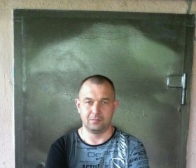 Александр, 45 лет, Карпогоры