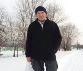 Виктор, 71 год, Запоріжжя
