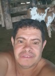 Wilmis, 40  , Altamira