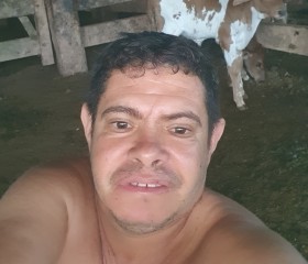 Wilmis, 42 года, Altamira