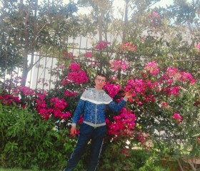 allal ayman, 43, Casablanca