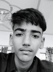 Pawan deep, 18 лет, Amritsar
