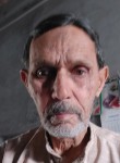 Raphik, 63 года, Delhi