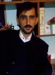 Mikail, 42 года, Akyazı