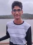 Shakir patel, 24 года, Kankauli