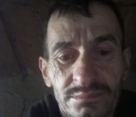 Moise, 53, Botosani