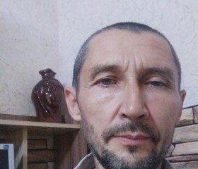 Андрей, 52 года, Железногорск (Курская обл.)