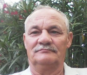 Валерий, 64 года, Городище
