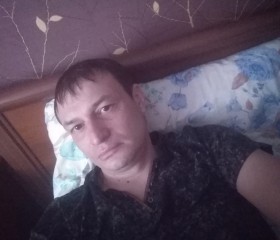 Дикий, 38 лет, Курск
