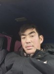 Жакшылык, 28 лет, Бишкек