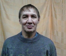 Каюмов Дамир, 61 год, Ярославль