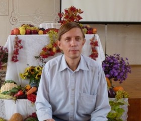 Владимир, 43 года, Фролово