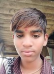 Vipul king, 19 лет, Ahmedabad