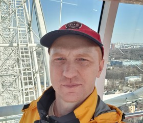 Алексей, 43 года, Железногорск (Курская обл.)