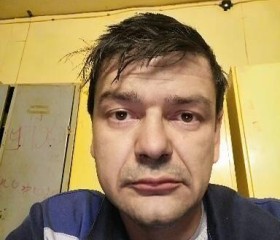 Андрей, 41 год, Озёрск (Челябинская обл.)
