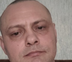 Сергей Сергеев, 43 года, Александров