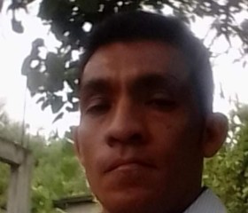 Mario A, 41 год, San Pedro Sula