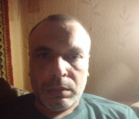 Сергей Терехов, 44 года, Рязань