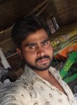 Vinod rajputh, 26 лет, Gwalior