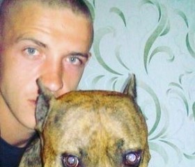 Богдан, 29 лет, Кристинополь