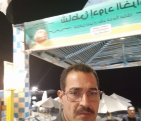 Essam yasein, 55 лет, الإسكندرية