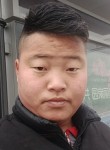 俞太清, 31 год, 南京市
