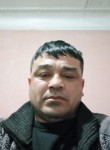 Коха брат, 38 лет, Toshkent
