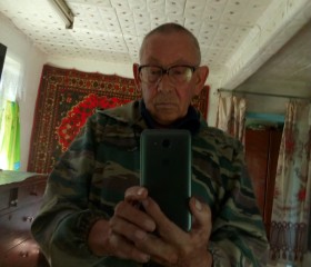 Николай Мальцев, 69 лет, Заводоуковск