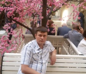 Николай, 46 лет, Сергач