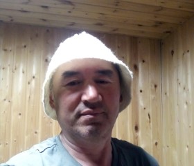 Ринат, 53 года, Челябинск