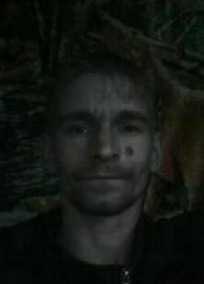 Сергей, 39, Россия, Донской (Тула)