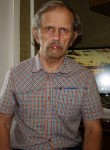Владимир, 68 лет, Воронеж