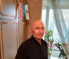 Владимир, 70 лет, Тюмень